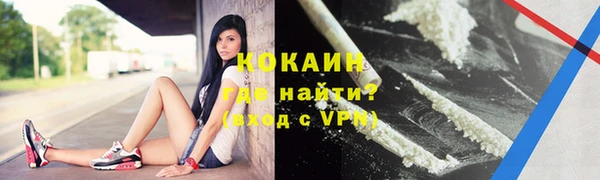 стаф Верея