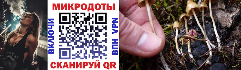 Галлюциногенные грибы прущие грибы  Дудинка 